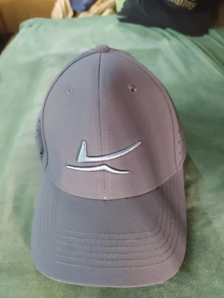 Cap 10